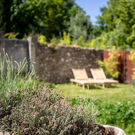 Portail Du Ventoux Central Luxe Jardin Linge Fourni 马洛塞讷 外观 照片